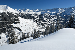 saanenland 2018-1 saanenland 2018-1